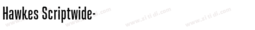 Hawkes Scriptwide字体转换